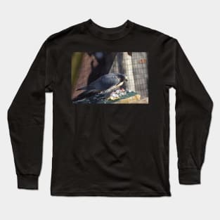 Peregrine Falcon Long Sleeve T-Shirt